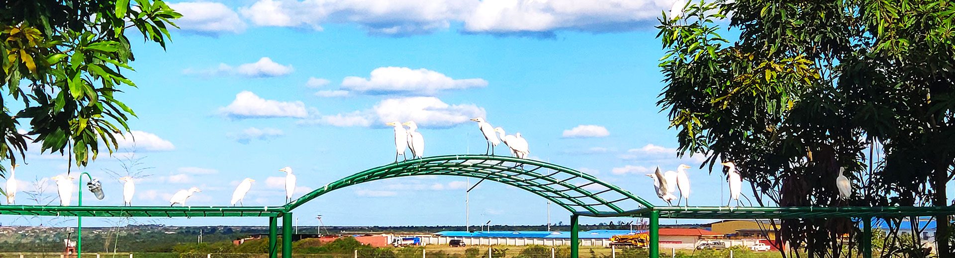 生態(tài)保護(hù)