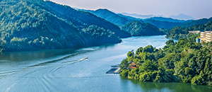 可持續(xù)發(fā)展