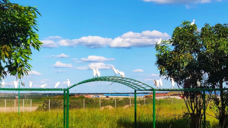 一帶一路十周年，紫金礦業(yè)以共同發(fā)展實(shí)現(xiàn)互利共贏