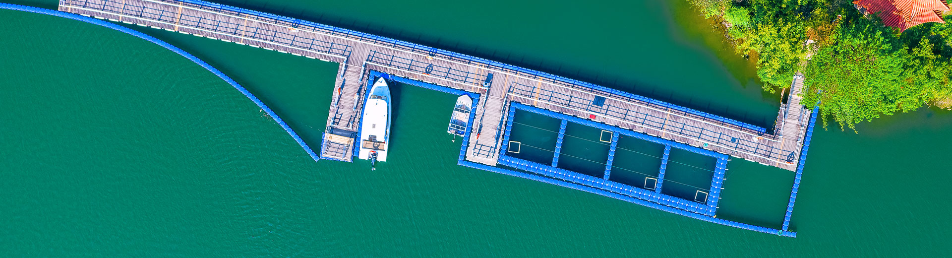 邁向低碳的未來